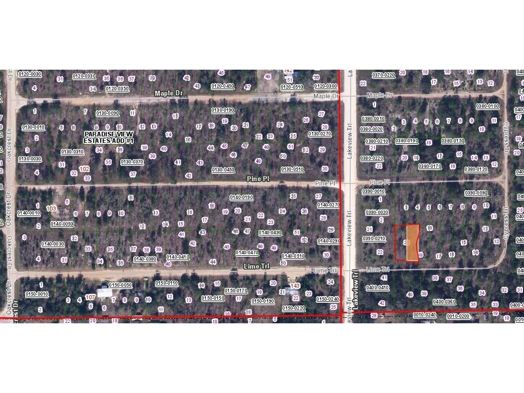 00 Lime Street Interlachen FL 32148 OM633019 image2