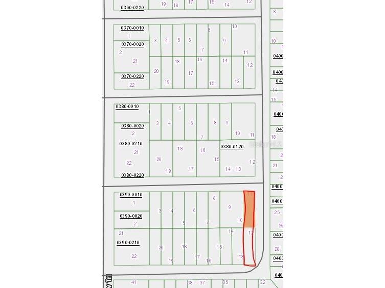 00 Lime Street Interlachen FL 32148 OM651528 image1