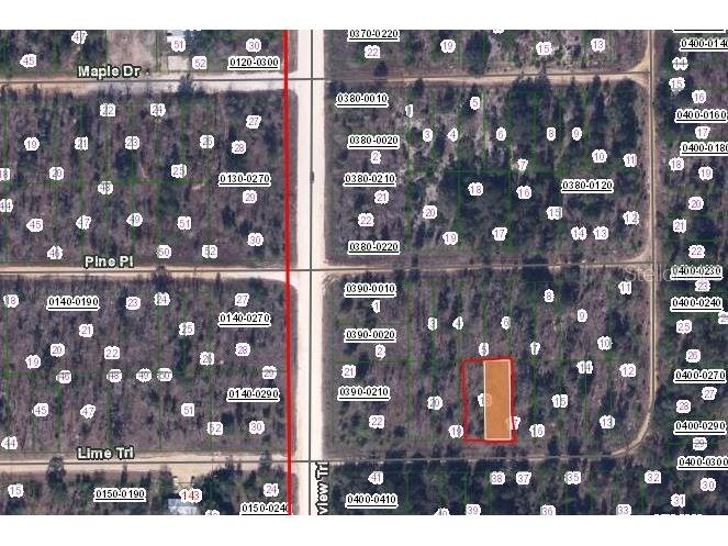 00 Lime Street Interlachen FL 32148 OM651528 image2