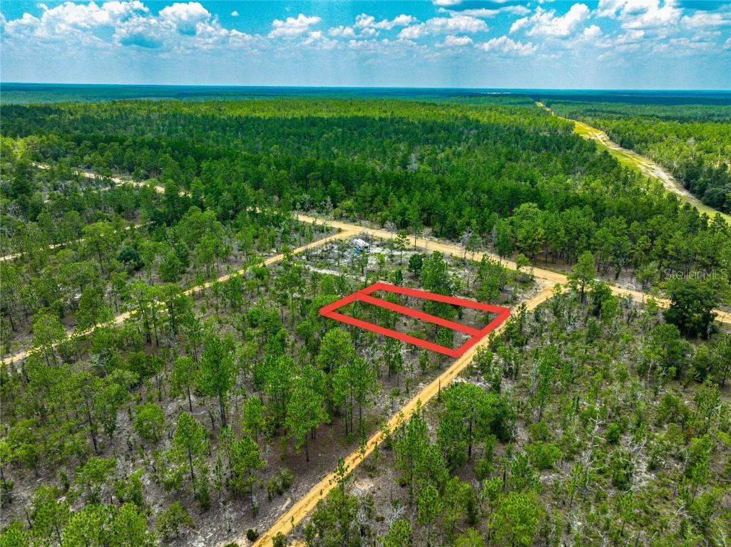 Lime Way Interlachen FL 32148 OM699693 image3