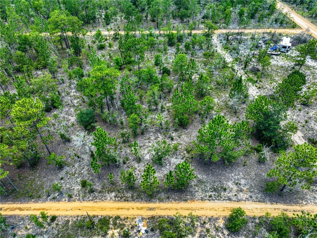 Lime Way Interlachen FL 32148 OM699693 image5