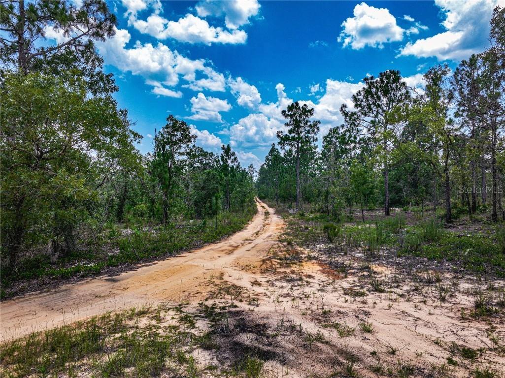 Lime Way Interlachen FL 32148 OM699693 image8