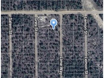 Lime Way Interlachen FL 32148 OM699693 image9