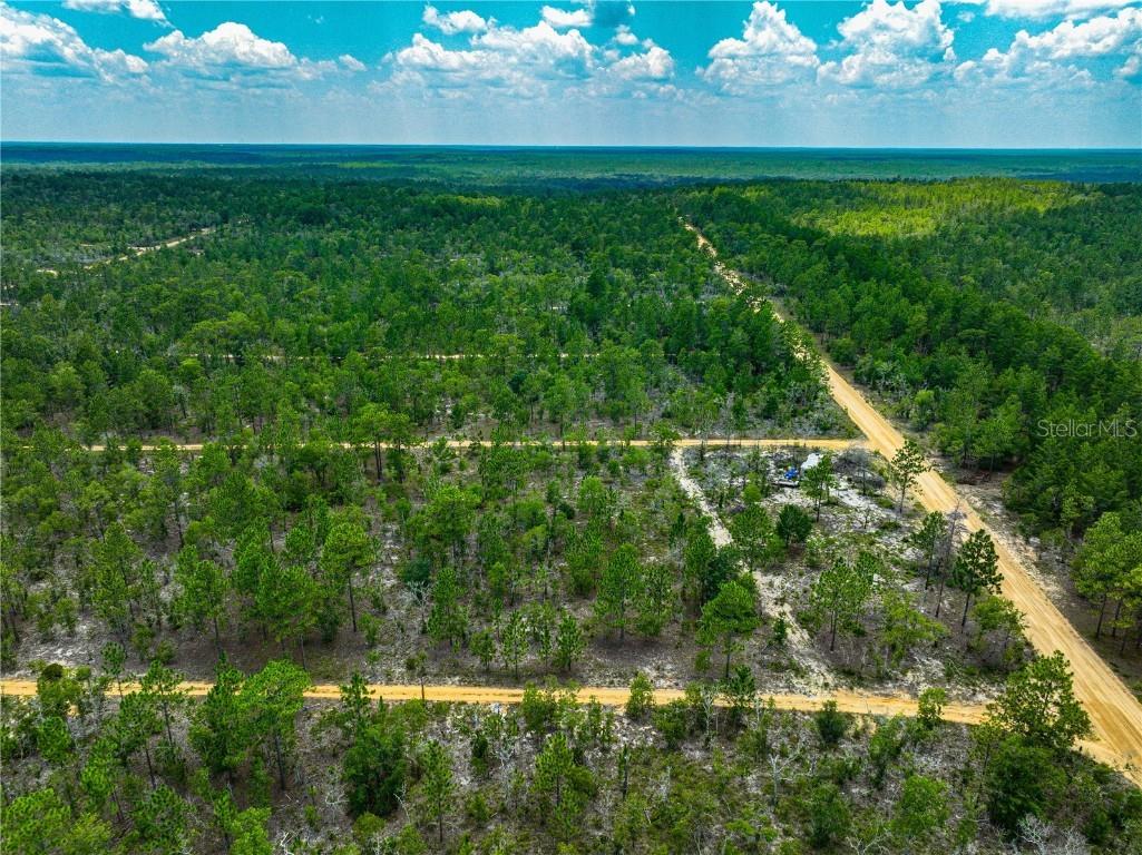 Lime Way Interlachen FL 32148 OM699711 image4