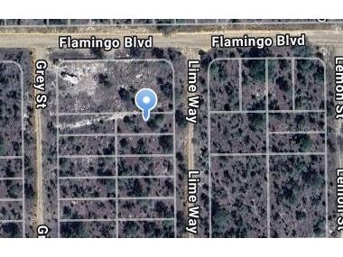 Lime Way Interlachen FL 32148 OM699711 image9