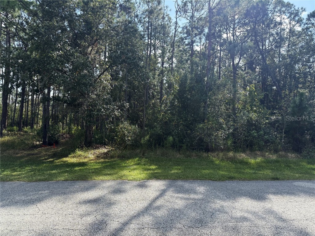 Limpkin Lane Frostproof FL 33843 P4937119 image3