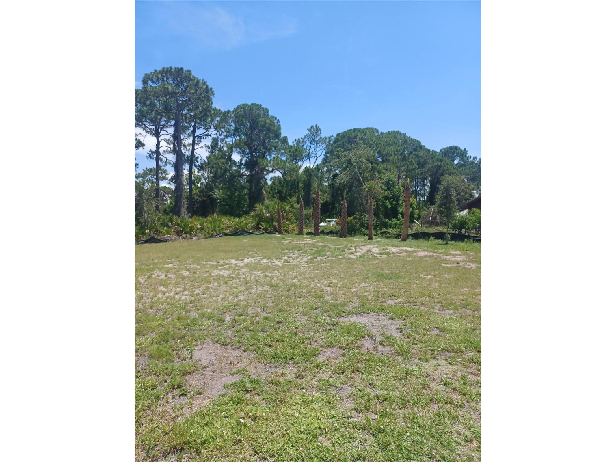 Lin Gina Terrace Edgewater FL 32141 TB8466149 image1