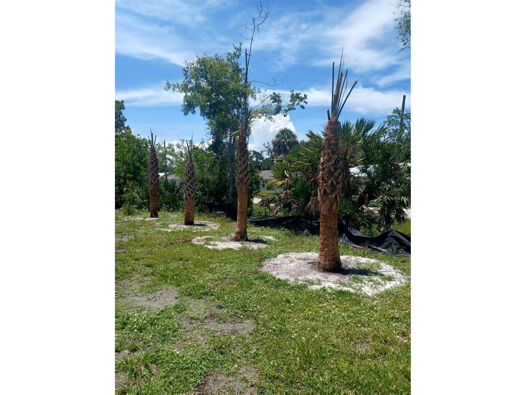 Lin Gina Terrace Edgewater FL 32141 TB8466149 image3