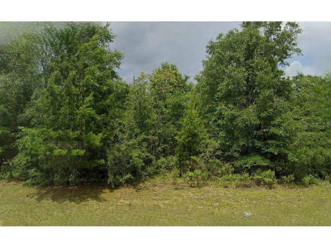 Lincoln Avenue Alford FL 32420 O6330954 image1