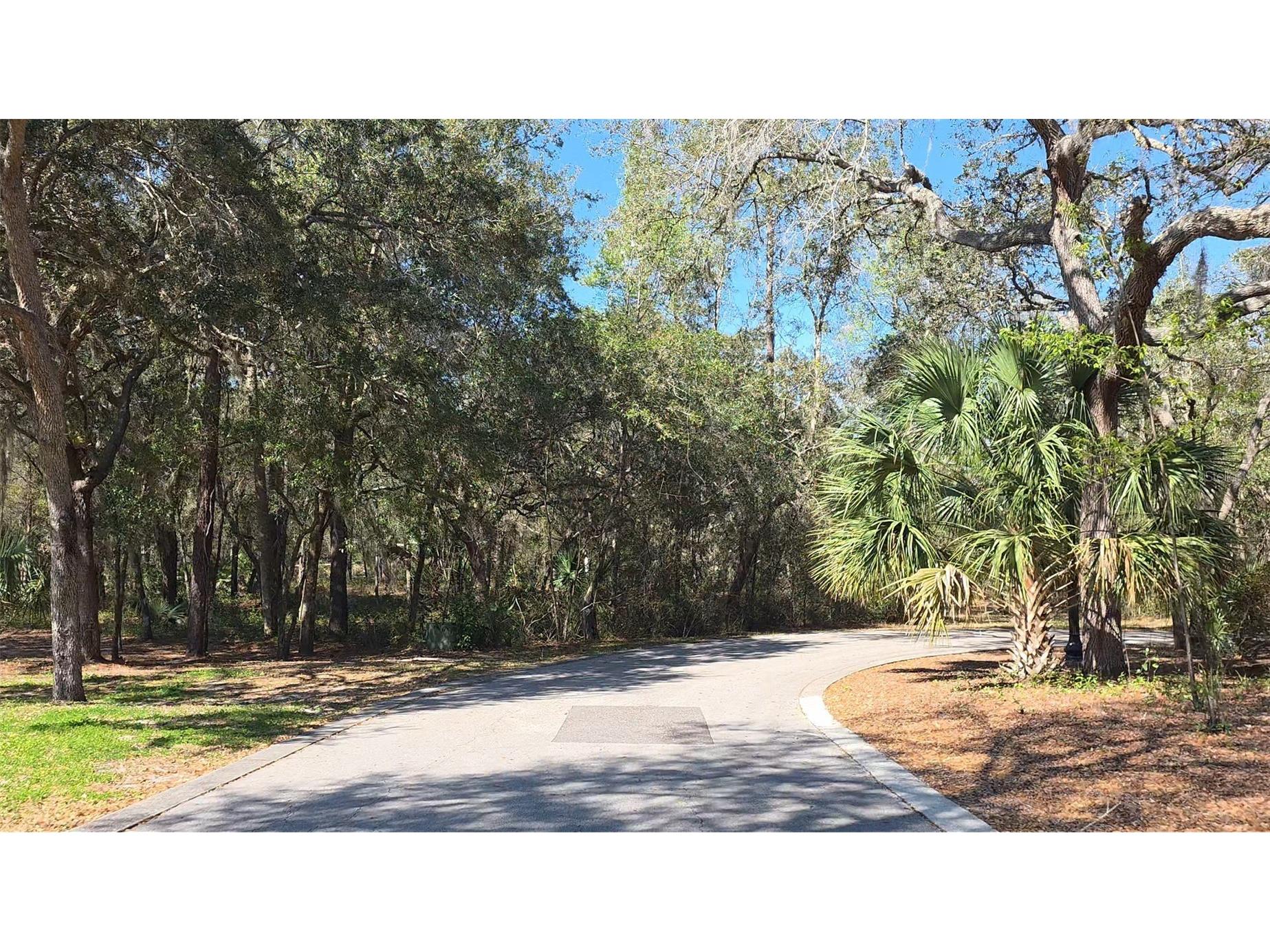 Lincoln Road Deland FL 32724 O6385230 image3