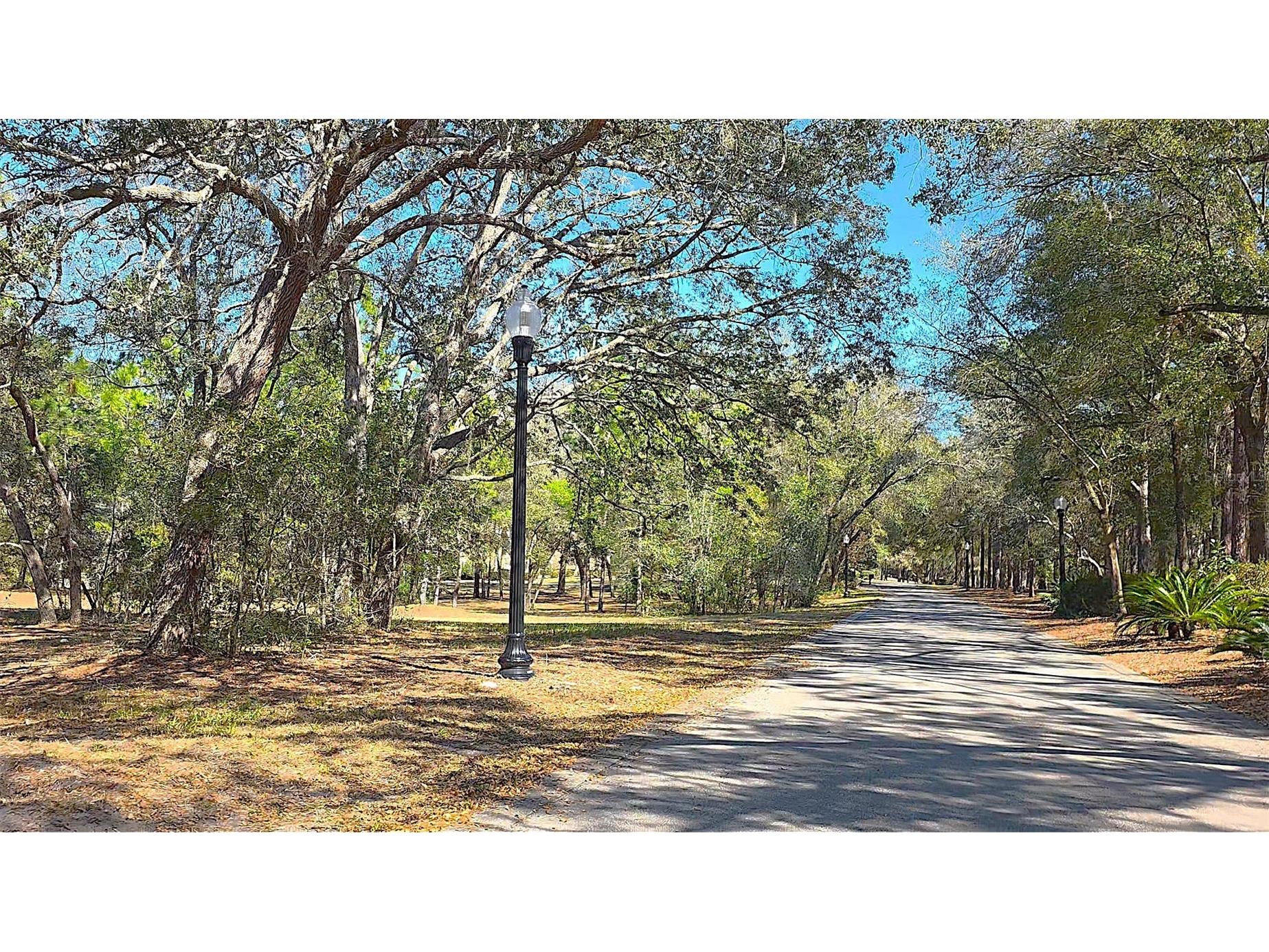 Lincoln Road Deland FL 32724 O6385230 image4