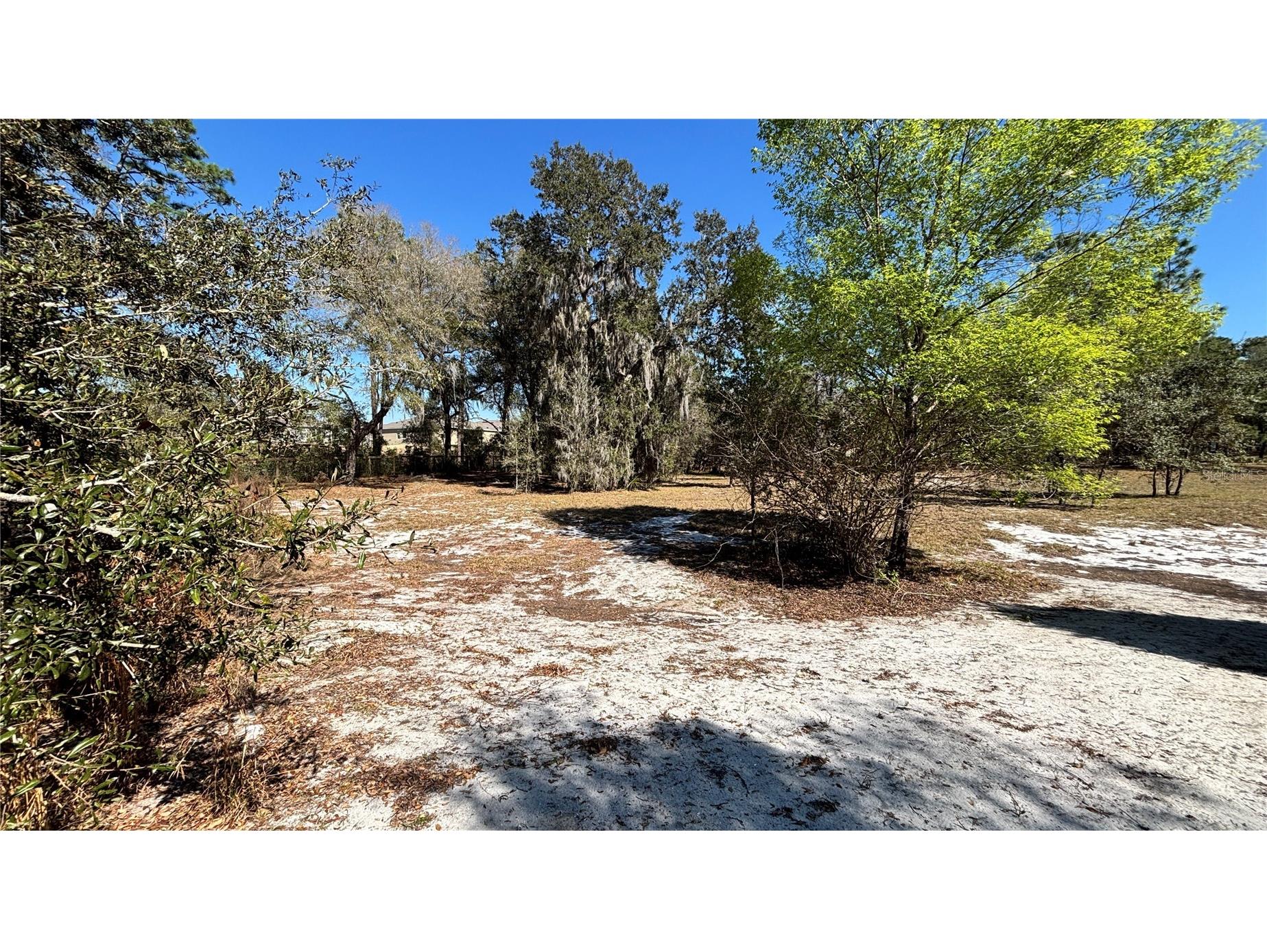 Lincoln Road Deland FL 32724 O6385230 image6