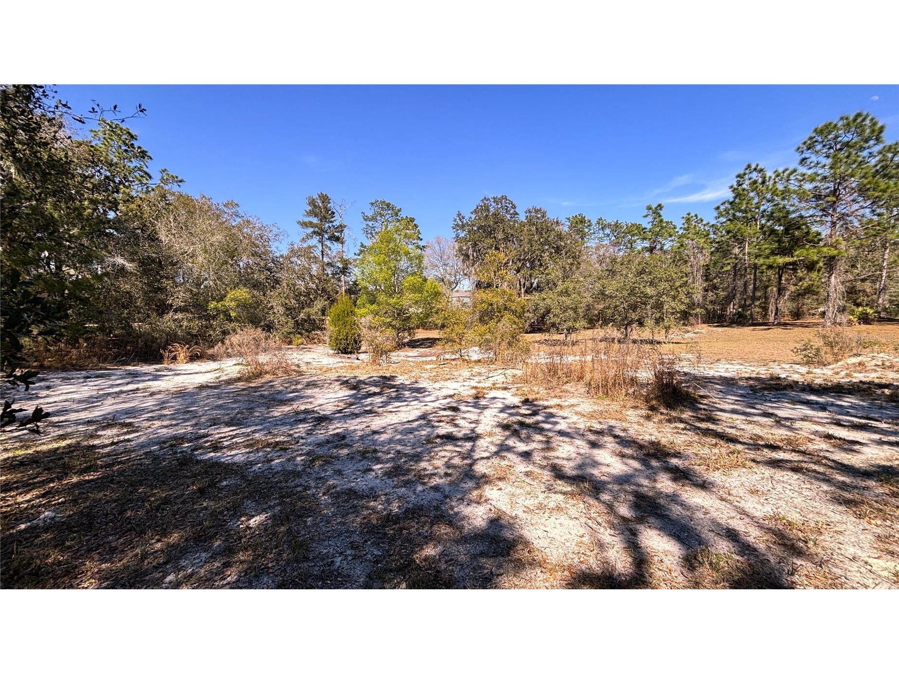 Lincoln Road Deland FL 32724 O6385230 image9