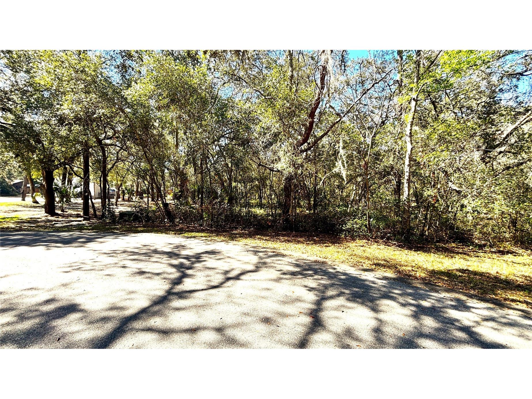 Lincoln Road Deland FL 32724 O6386749 image6