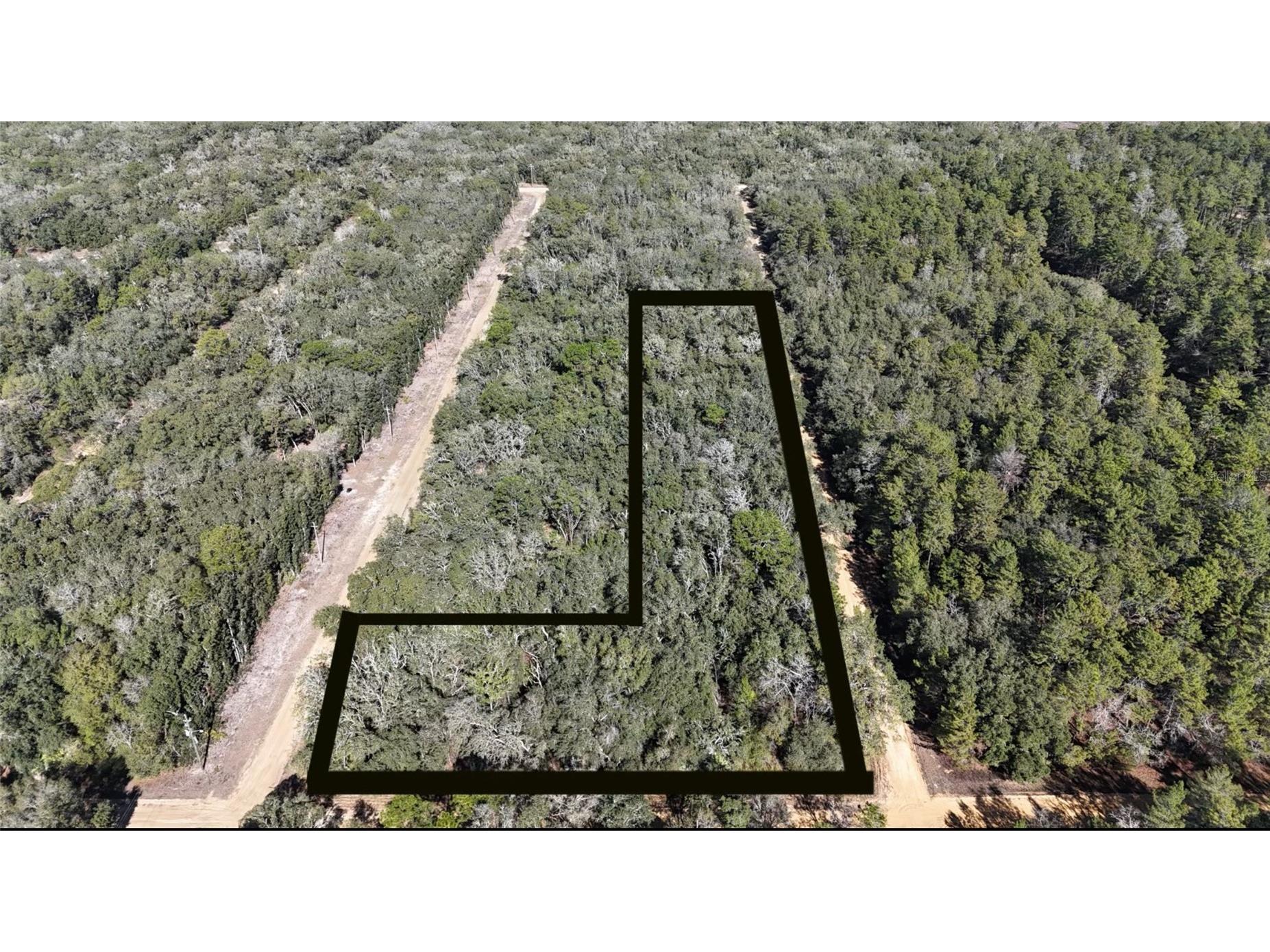 Linda Interlachen FL 32148 NS1087039 image1