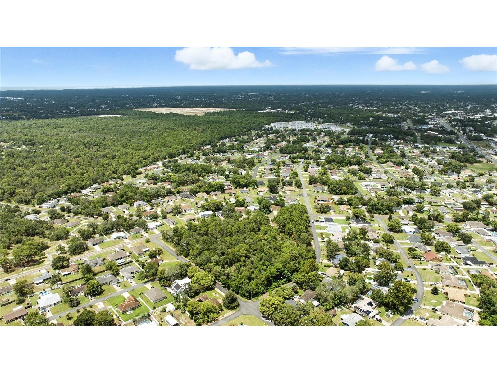 Linden Drive Spring Hill FL 34608 TB8413730 image10