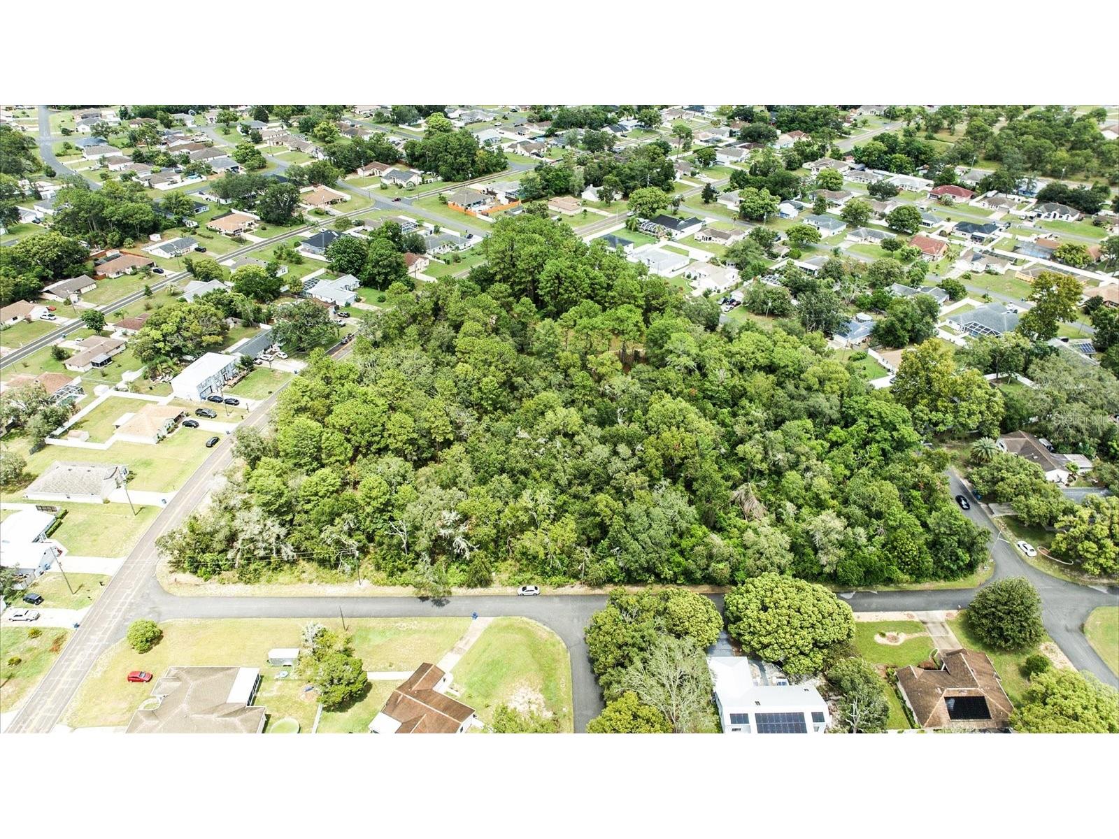 Linden Drive Spring Hill FL 34608 TB8413730 image15