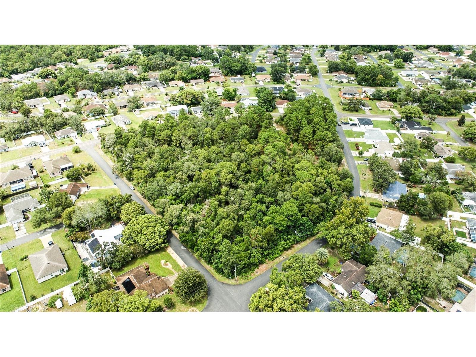 Linden Drive Spring Hill FL 34608 TB8413730 image16