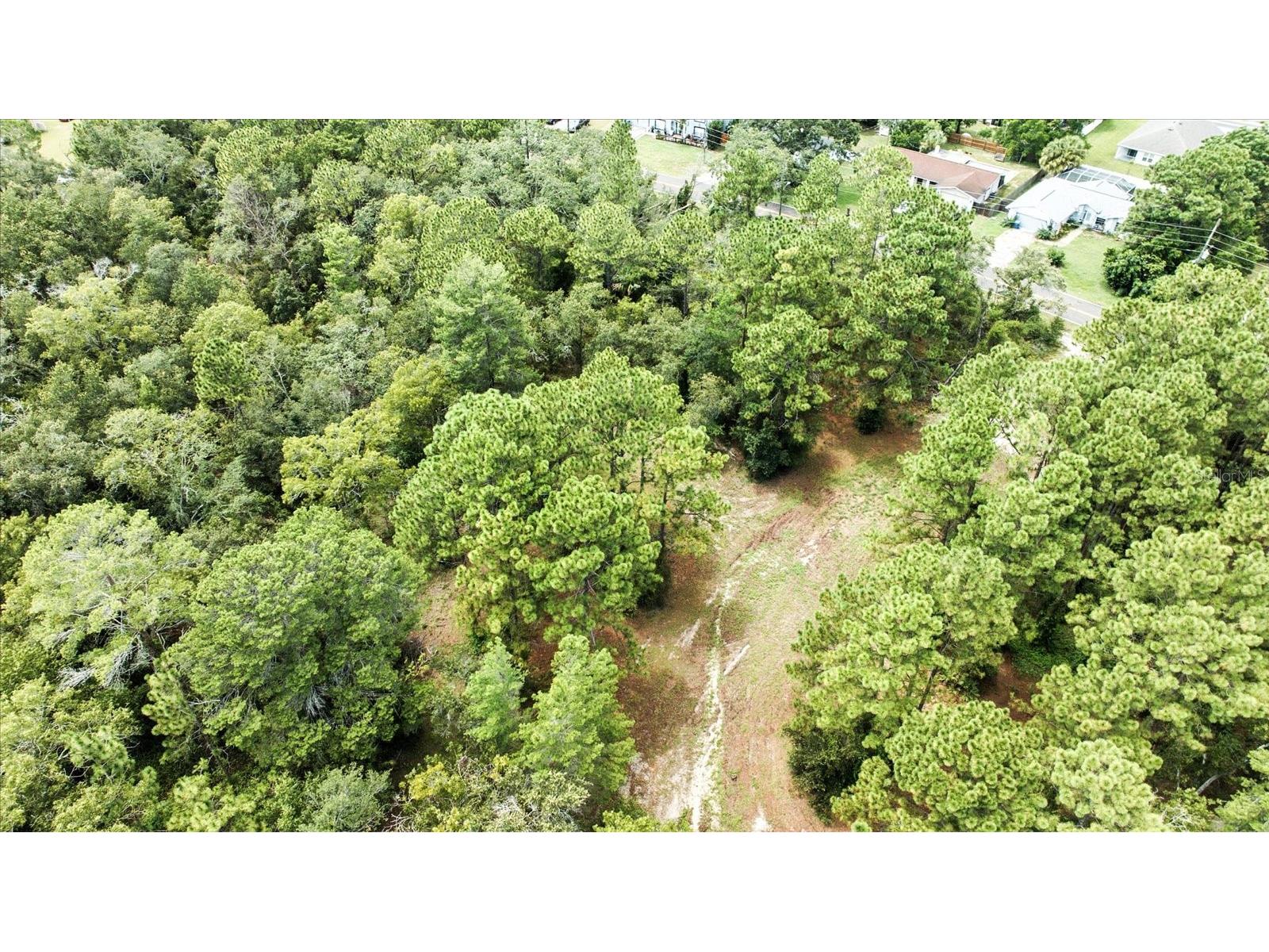 Linden Drive Spring Hill FL 34608 TB8413730 image18