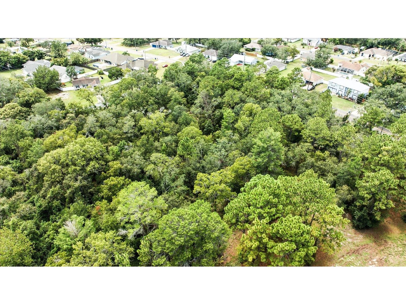 Linden Drive Spring Hill FL 34608 TB8413730 image19