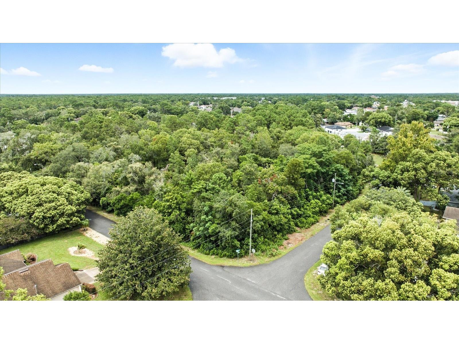 Linden Drive Spring Hill FL 34608 TB8413730 image5