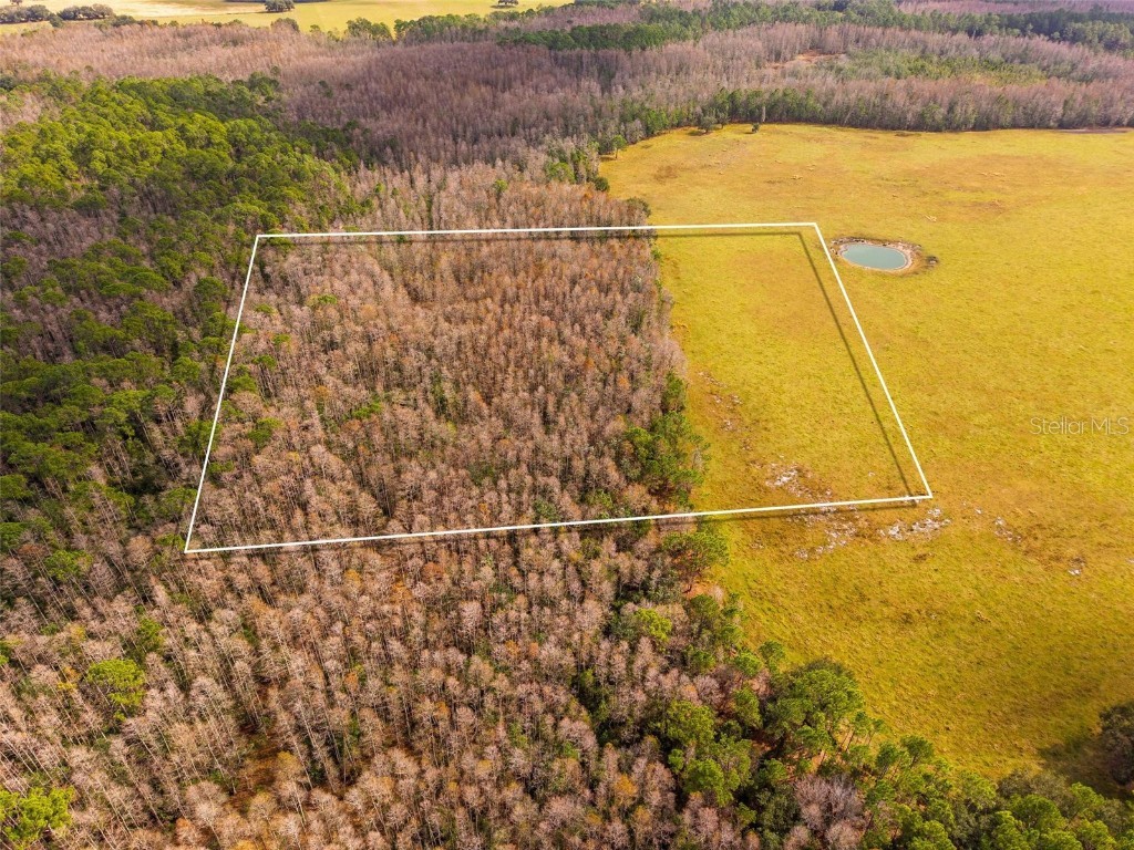 Line Block Road Clermont FL 34714 G5105250 image14