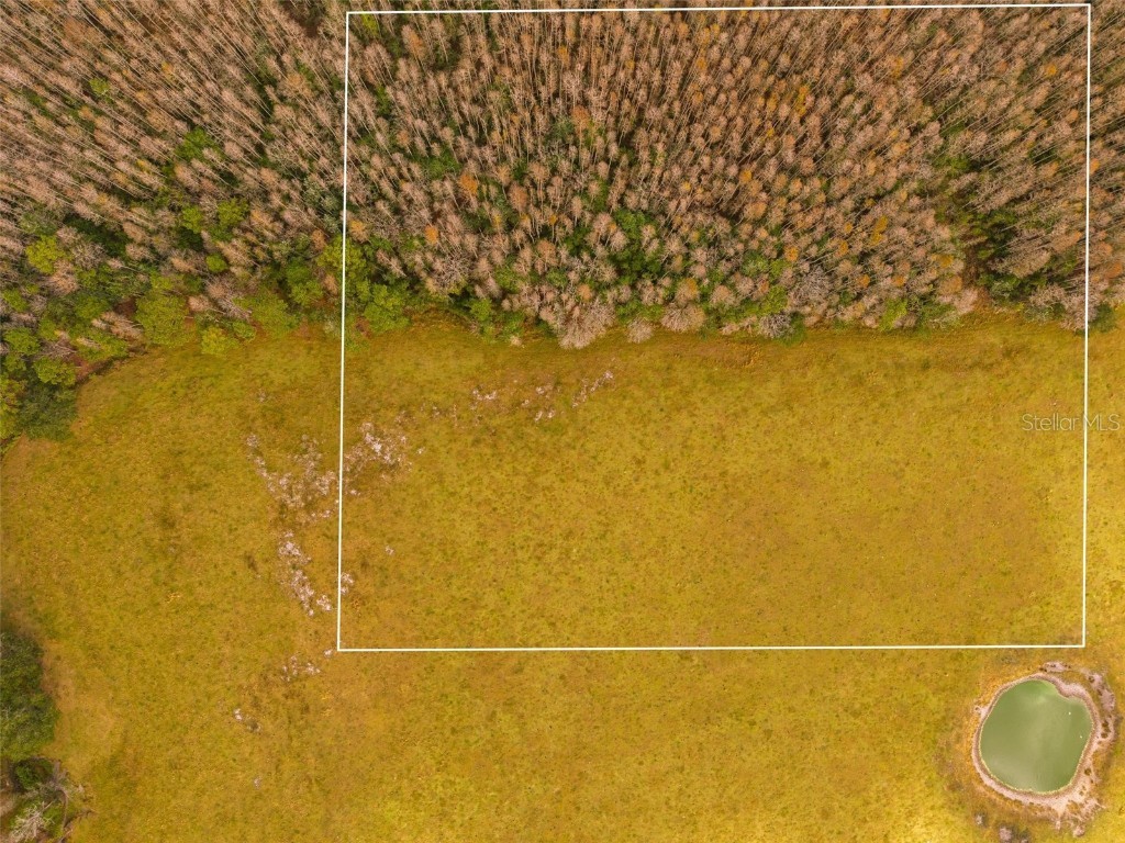 Line Block Road Clermont FL 34714 G5105250 image17