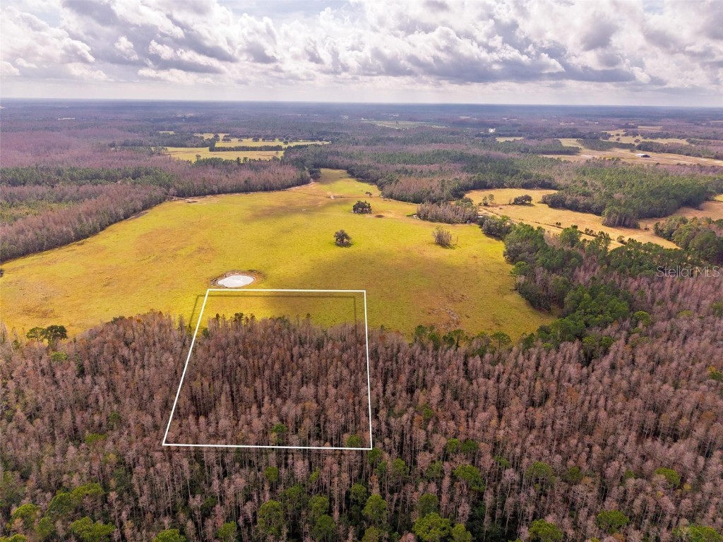 Line Block Road Clermont FL 34714 G5105250 image2