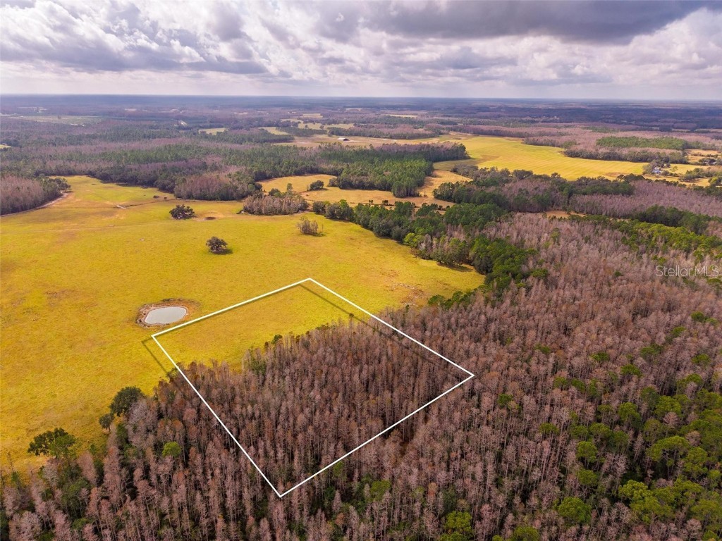 Line Block Road Clermont FL 34714 G5105250 image3