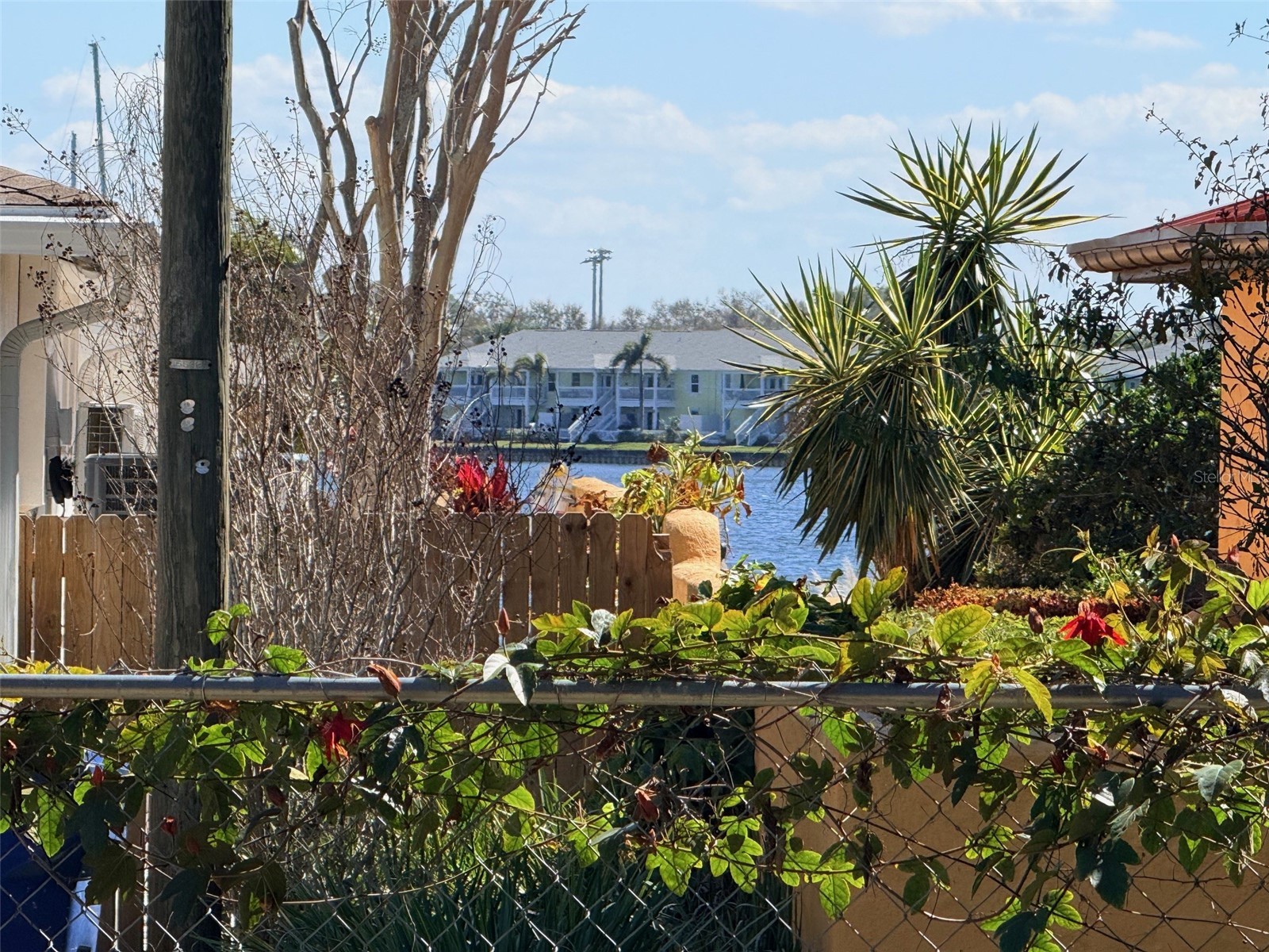 Ling-A-Mor Terrace S Saint Petersburg FL 33705 TB8479260 image2