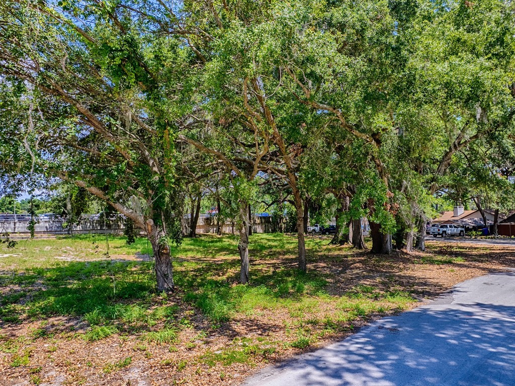 Lion Lane Tavares FL 32778 G5097073 image15