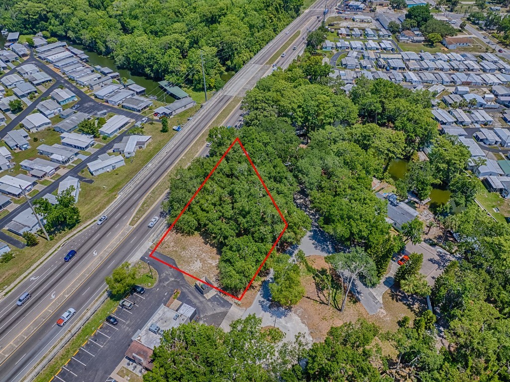 Lion Lane Tavares FL 32778 G5097073 image18