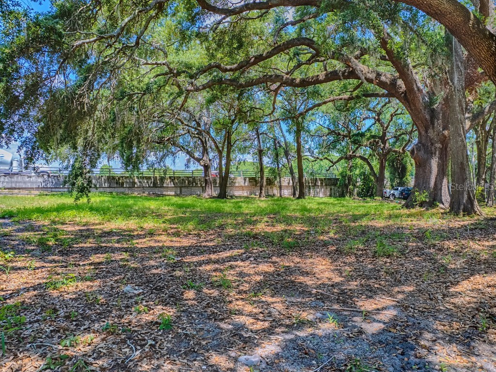 Lion Lane Tavares FL 32778 G5097073 image2