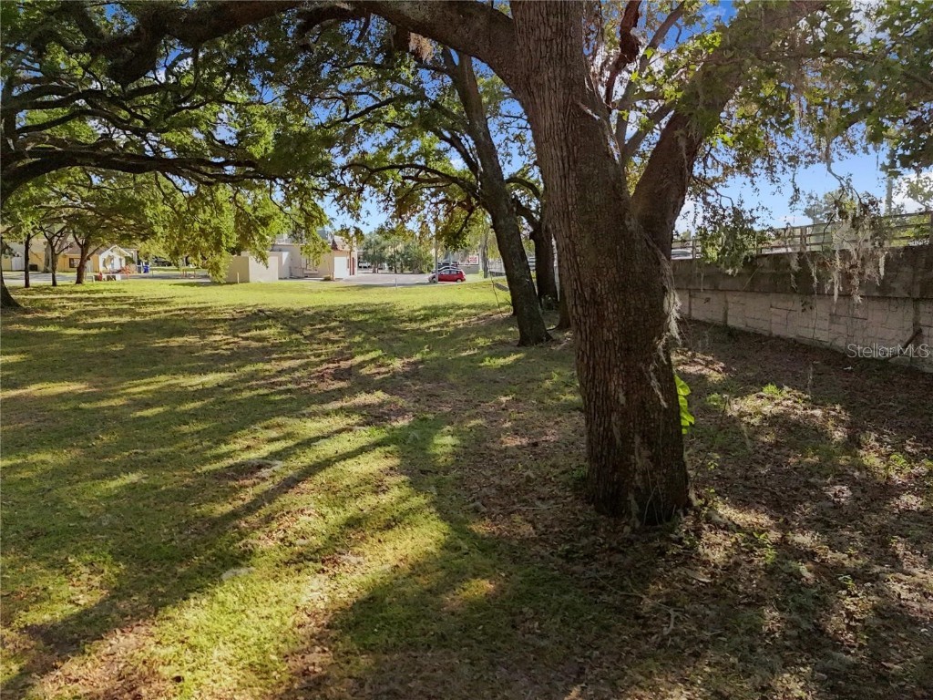 Lion Lane Tavares FL 32778 G5097073 image28