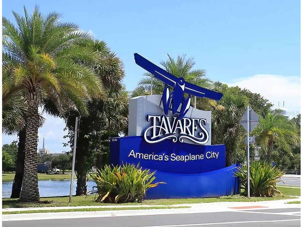 Lion Lane Tavares FL 32778 G5097073 image6