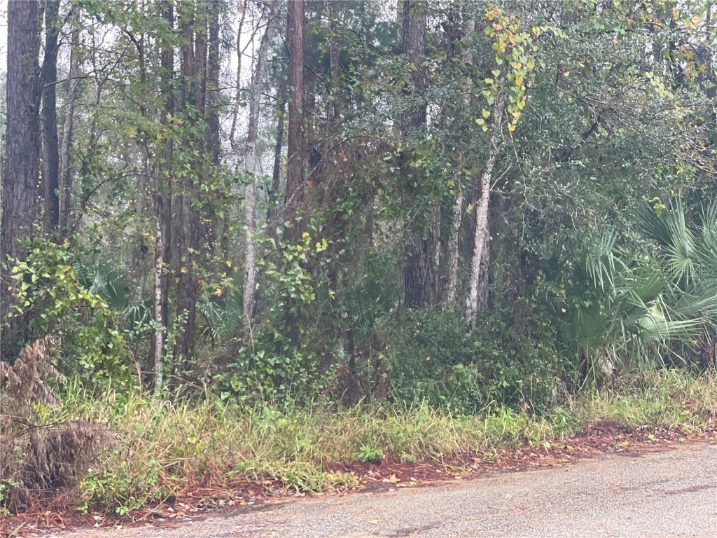 Lisa Street Astor FL 32102 V4927612 image1