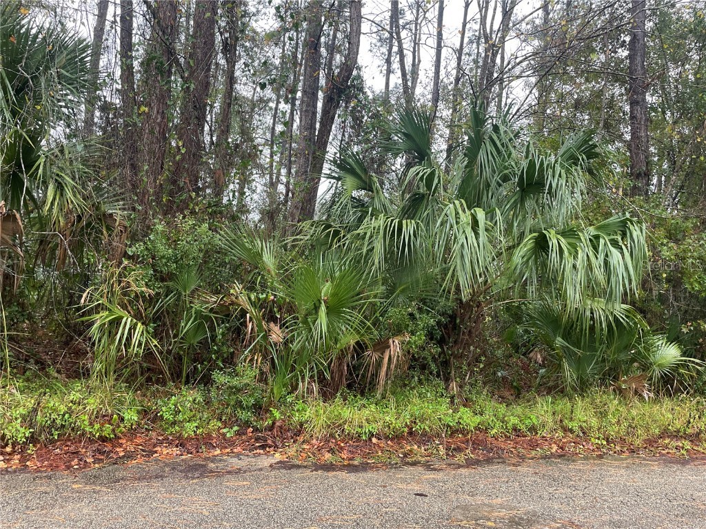 Lisa Street Astor FL 32102 V4927614 image1