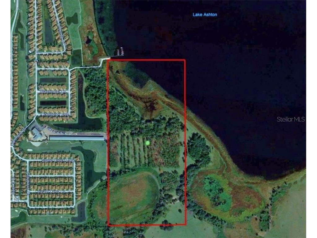 Litchfield Loop Winter Haven FL 33884 - LAKE ASHTON P4913211 image1