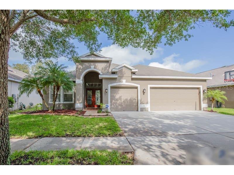  Lithia FL 33547 J974751 image1