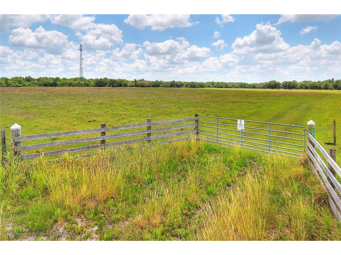  Lithia FL 33547 T3432587 image1