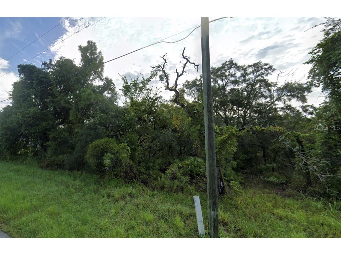 Little Gull Road #LOT 3 Brooksville FL 34614 S5129346 image1