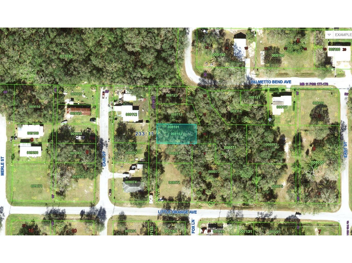 Little Orange Avenue Mulberry FL 33860 V4947442 image1