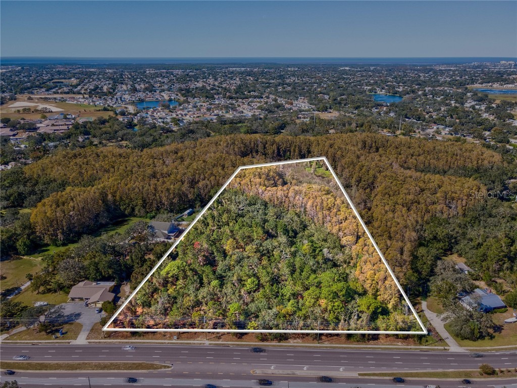 Little Road New Port Richey FL 34654 TB8378408 image5