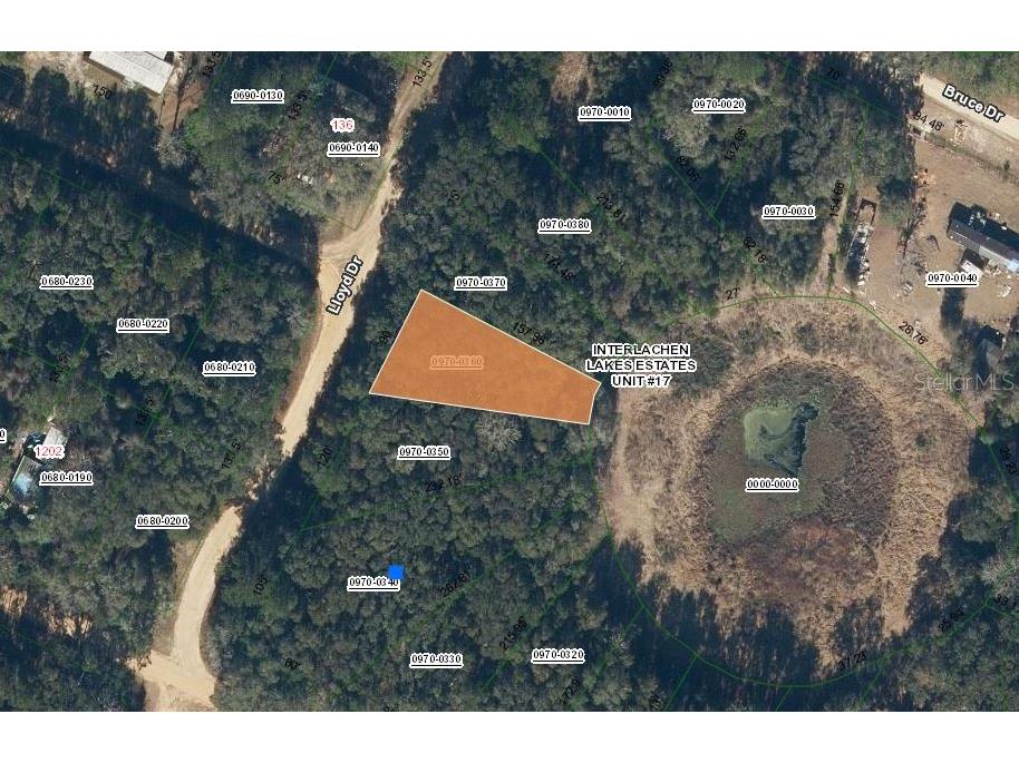 Lloyd Drive Interlachen FL 32148 OM696919 image1