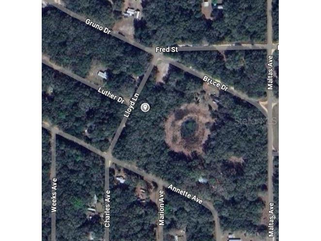 Lloyd Drive Interlachen FL 32148 OM696919 image2