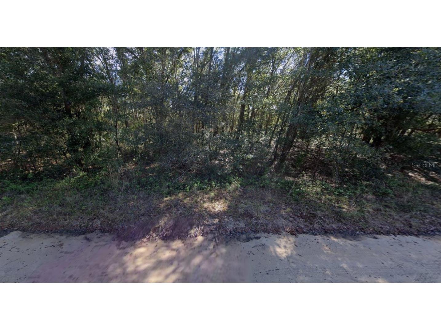 Lloyd Drive Interlachen FL 32148 OM696919 image3