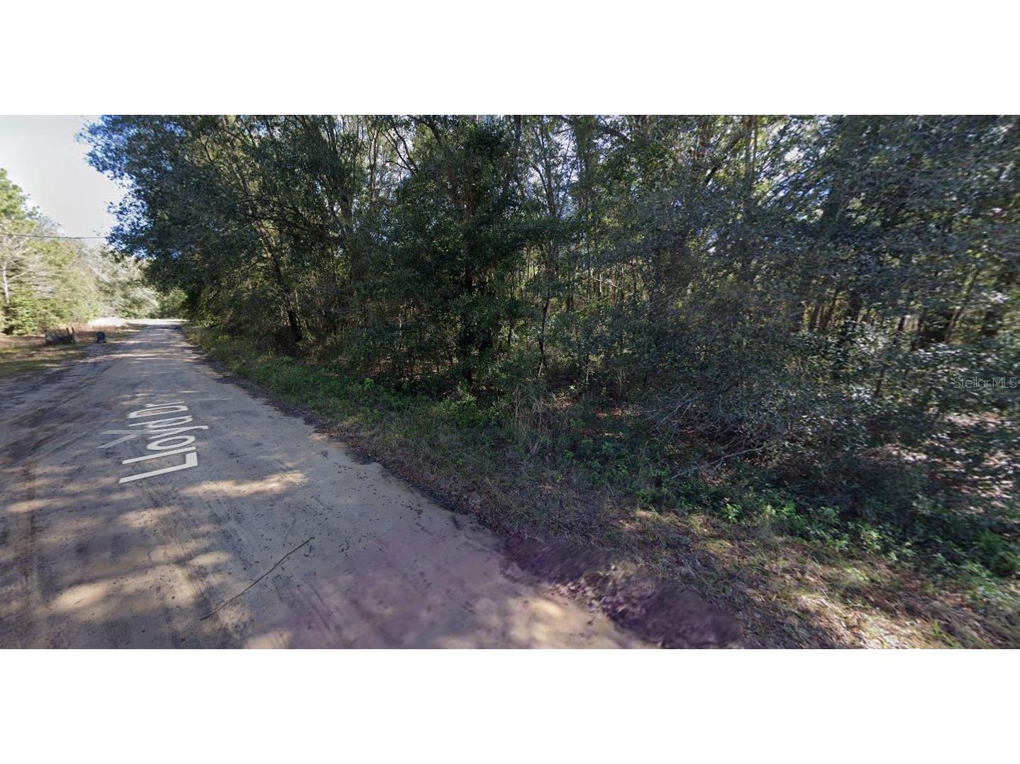 Lloyd Drive Interlachen FL 32148 OM696919 image4