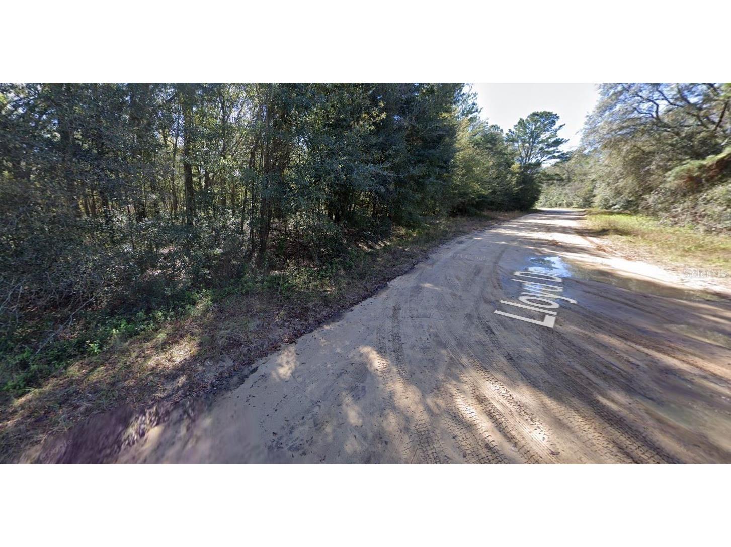 Lloyd Drive Interlachen FL 32148 OM696919 image5