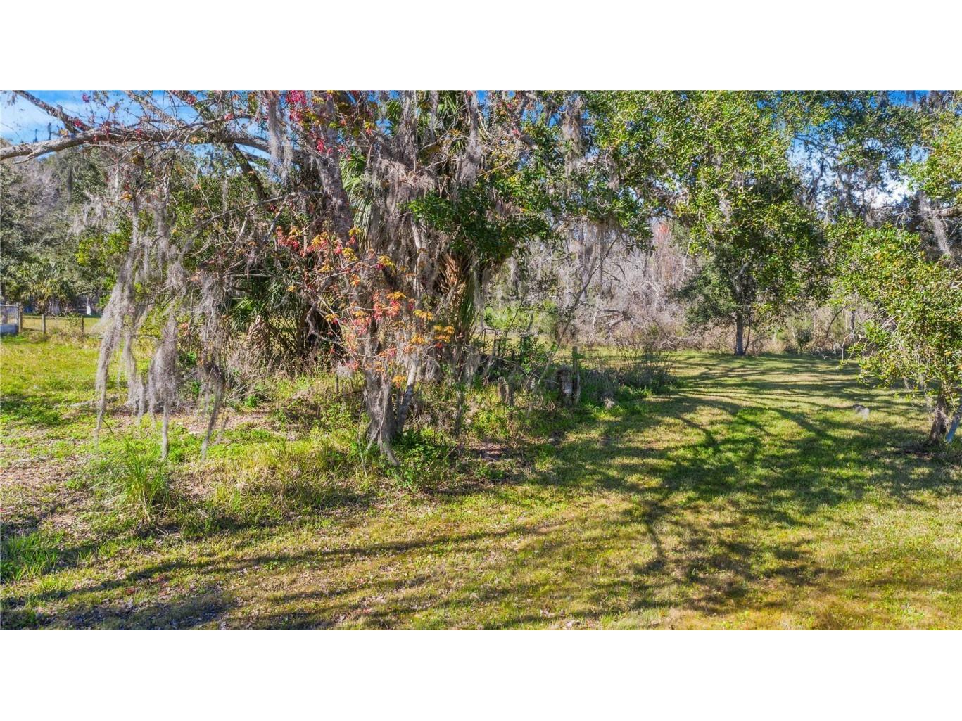 Locke Road Davenport FL 33837 - Horse Creek P4929111 image3