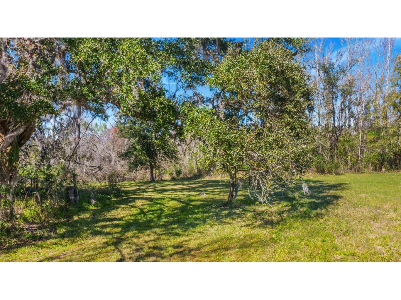 Locke Road Davenport FL 33837 - Horse Creek P4929111 image4
